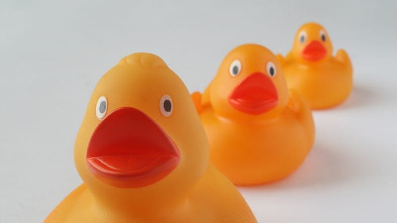 Cover image for “Rubber ducks and logs: a solo developer's debugging kit” — Software engineering